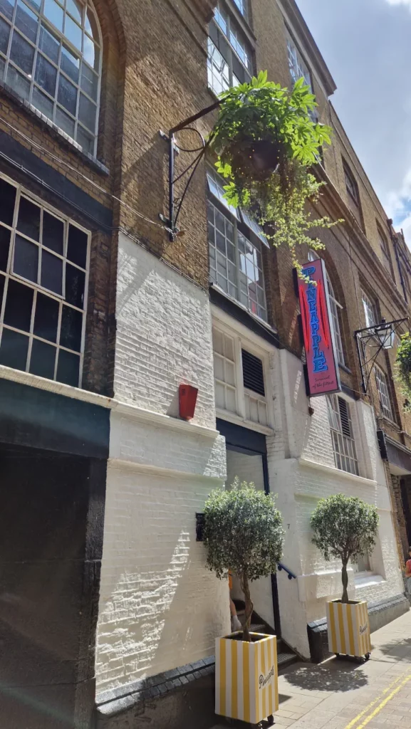 Pineapple Dance Studios i London