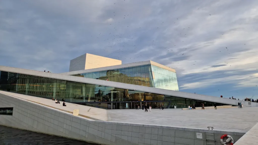 Stemningsfullt med mange måker over Operaen