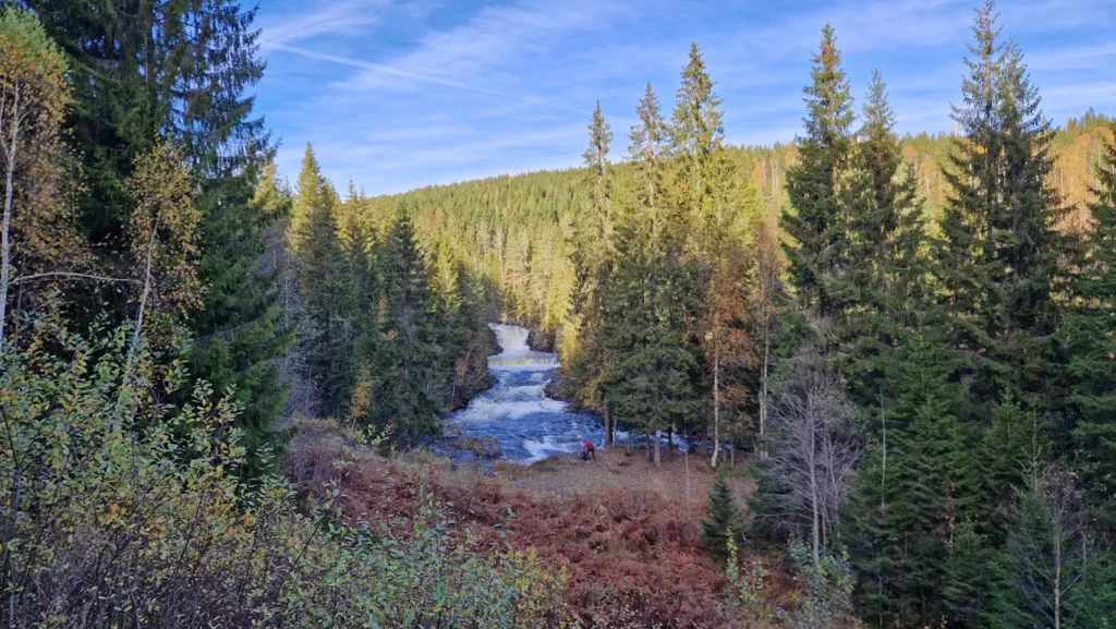 Vannfall i Skjersjøelva
