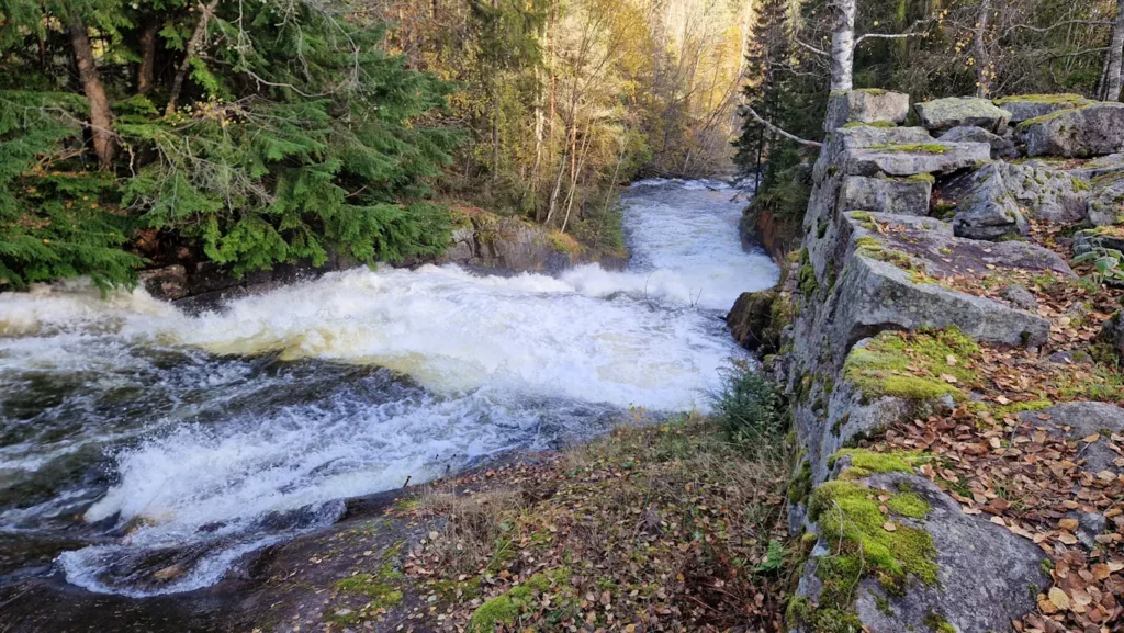 Vannfall i Skjærsjøelva