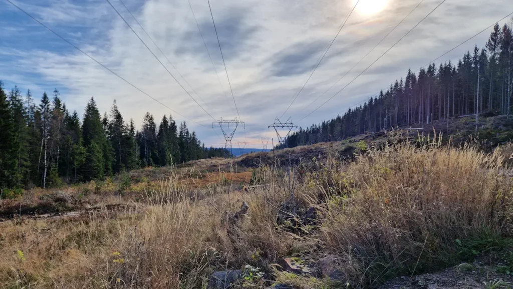 Holsledningene «Herr og fru Kraft» i Nordmarka