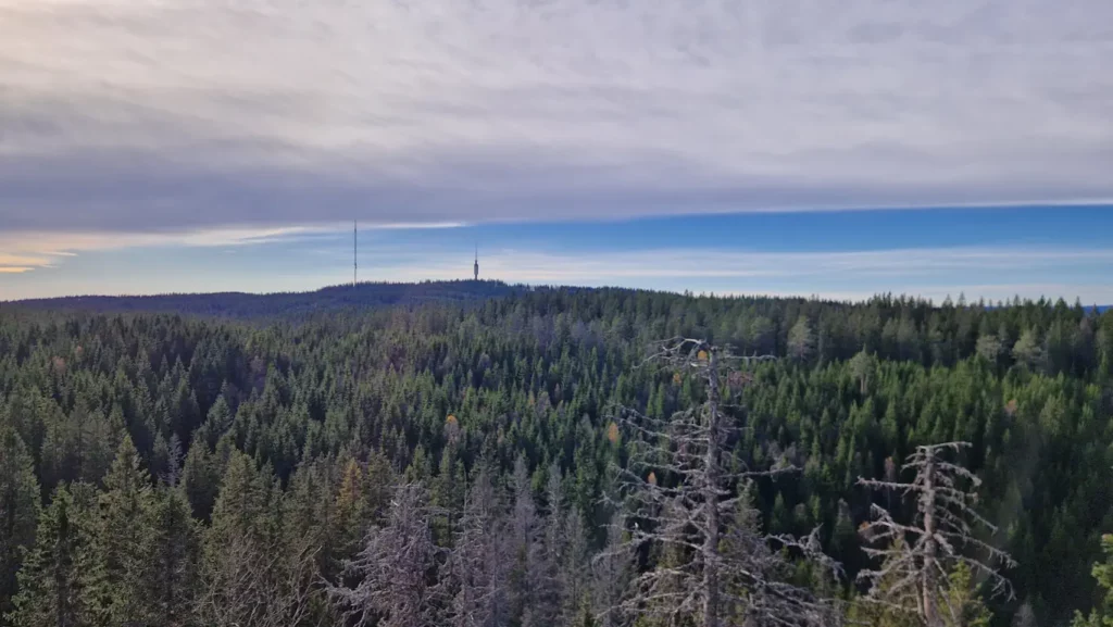 Tryvannstårnet sett fra Skjennungstua