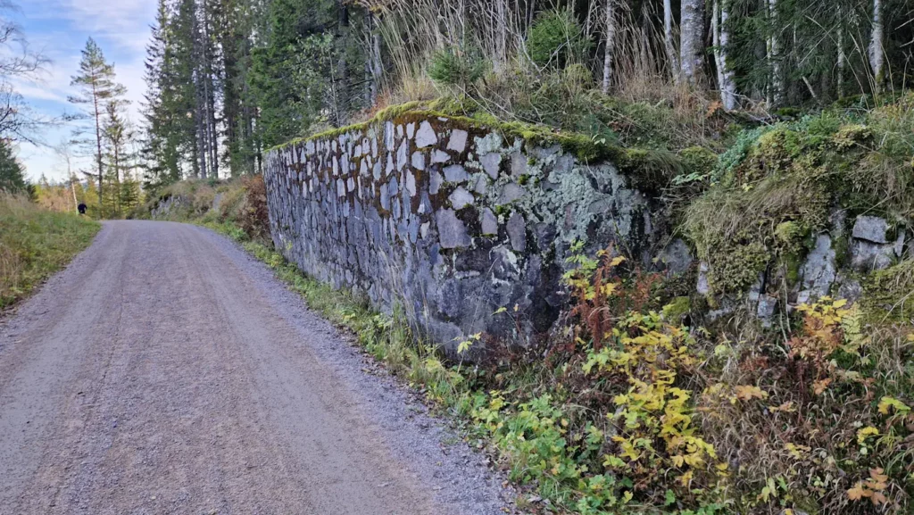 Restene etter Skuldbakken i Skjennungsåsen